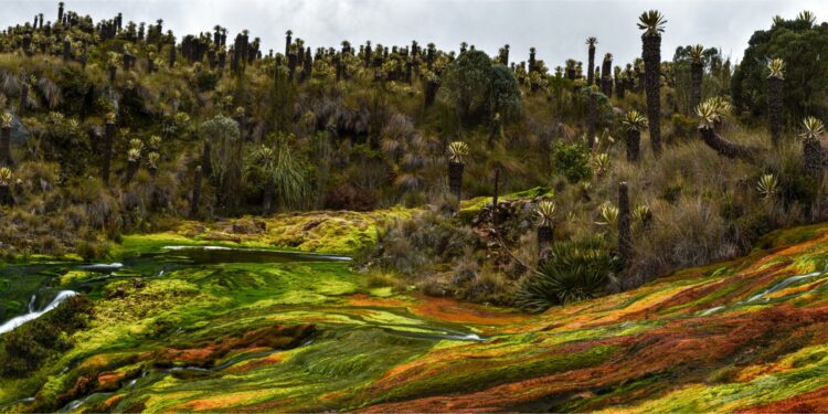 MinComercio y Fontur premiaron las mejores fotos del concurso Revela Colombia