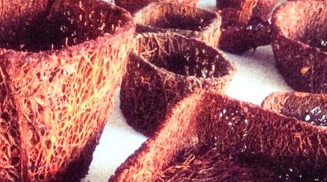 mineral-del-chico-artesanías-nopal