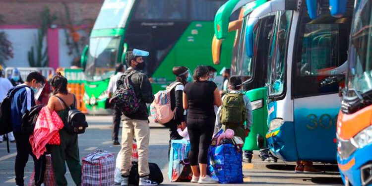 redBus viajes pasajes Perú