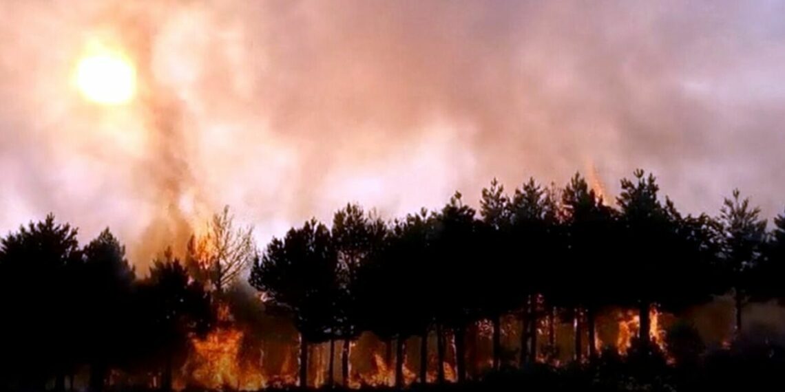 Paquetes turísticos para las zonas afectadas por incendios forestales en Lugo y Orense