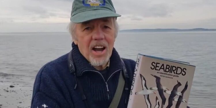 Roban “trabajo de toda su vida” a turista en crucero de Valparaíso: Científico ofrece US$10 mil de recompensa para recuperar sus archivos