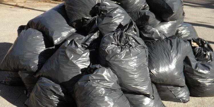 basura congreso nuevo león