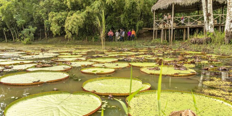 Viajar-a-Peru-selva-amazonica