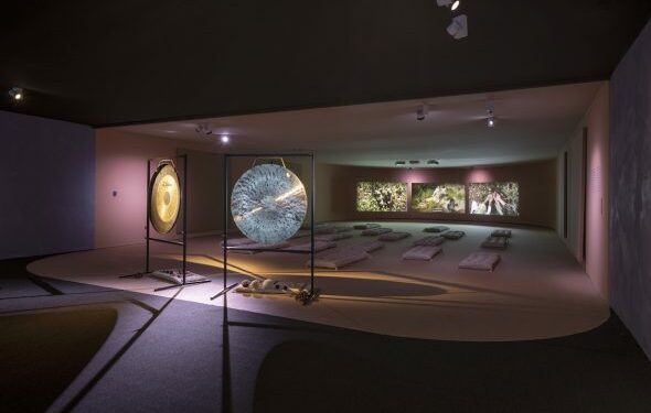 Un viaje a los tres Polos de la Tierra desde el Museo Thyssen