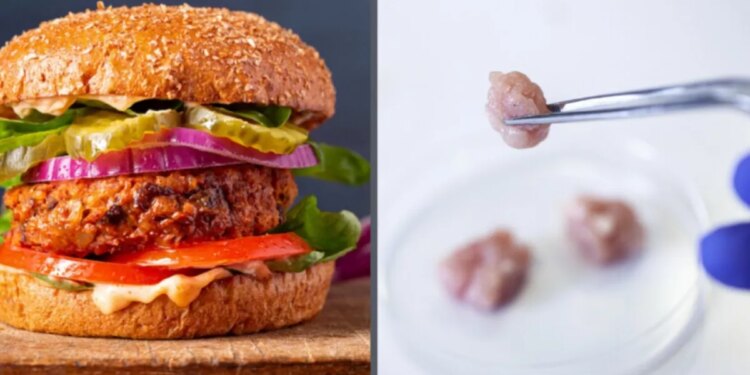 Upside Foods se convierte en la primera empresa con autorización para producir carne cultivada en EU