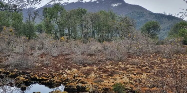 Vacaciones de verano en Ushuaia, un destino de belleza exuberante - Viajes