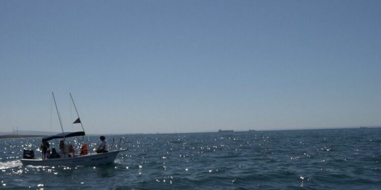 Viajes 'de gorra' a niños con algún tipo de discapacidad, ofrecen agencias de servicios turísticos