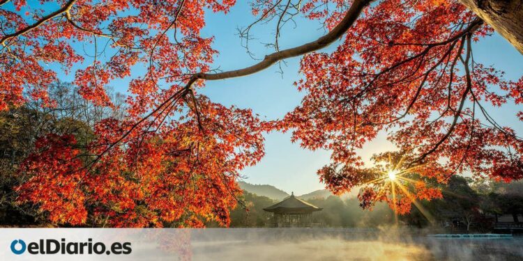 cuatro destinos para vivir el otoño japonés