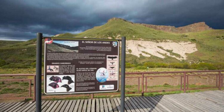 el Mirador de los cóndores en Junín de los Andes, una escala imperdible