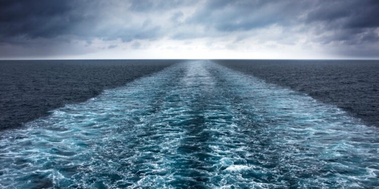 pasajero de crucero desaparecido encontrado bien – Telemundo Area de la Bahía 48