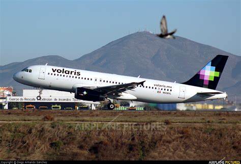 Volaris se suma al proyecto: ¡Que Viva la Selva Lacandona!