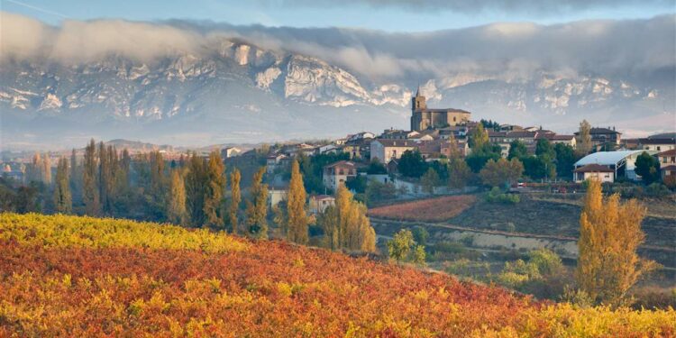una postal de bodegas, patrimonio y naturaleza