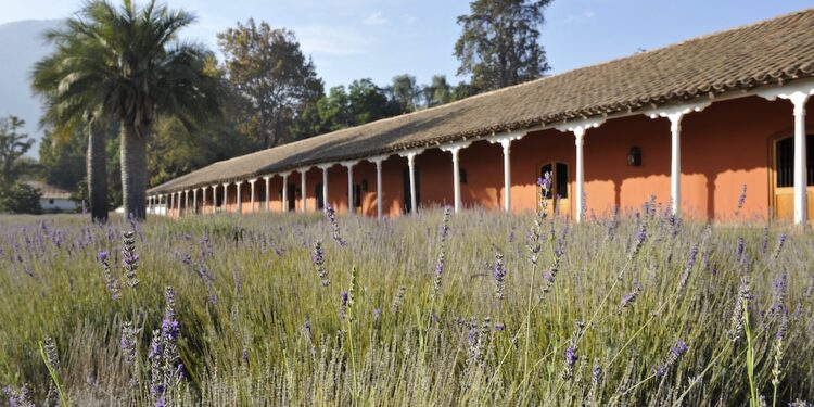 una visita al 'tesoro en el Valle del Maipo'