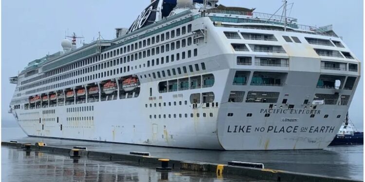 Cayó de un crucero de 260 metros, murió y los huéspedes presenciaron una trágica escena