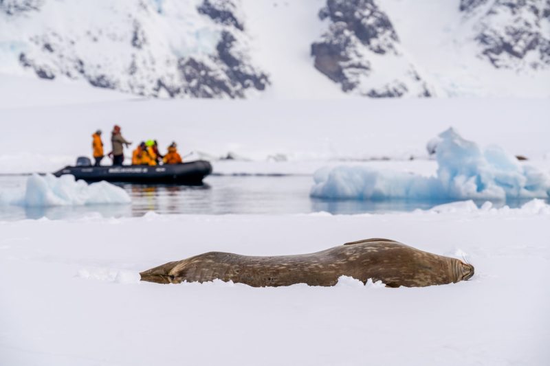 #FOTOS Visita la Antártica, el séptimo continente - dsc9672