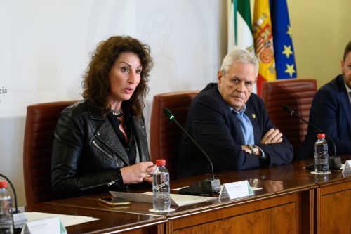 Plan Turismo Sostenible