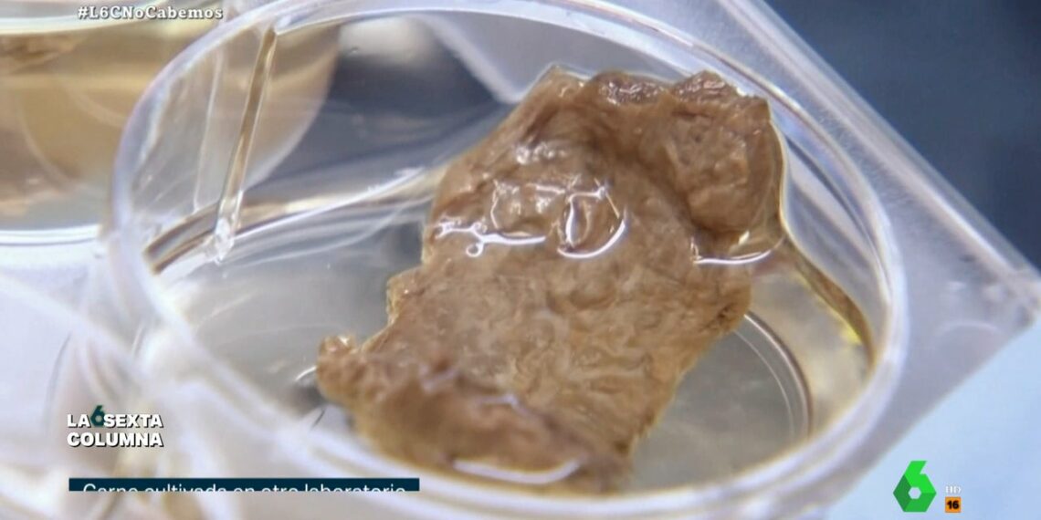 Así se produce la 'carne de laboratorio' que "podría ser una revolución de la importancia histórica de la agricultura"