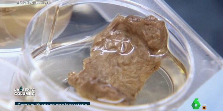 Así se produce la 'carne de laboratorio' que "podría ser una revolución de la importancia histórica de la agricultura"