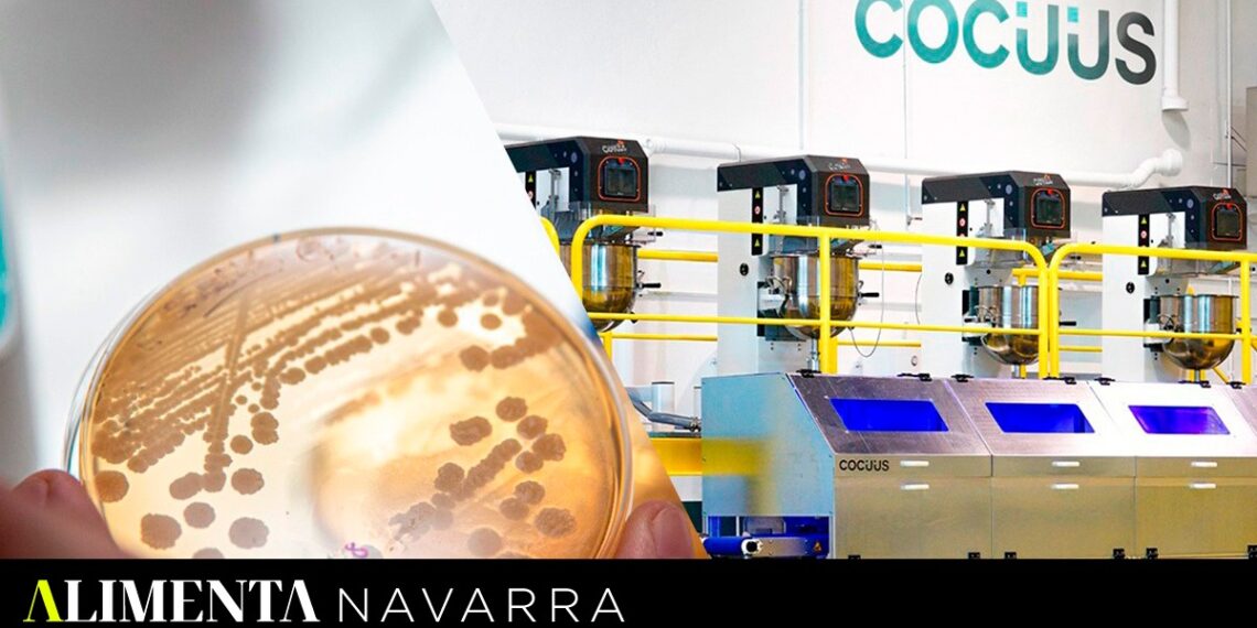 Cocuus y MOA ganan dos premios internacionales ‘Santander X Food for the Future’