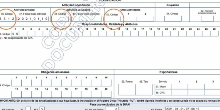 Códigos de actividad económica para RUT - DIAN