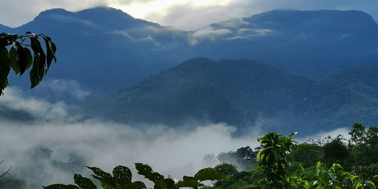 Colombia: Los guardianes de la Sierra Nevada