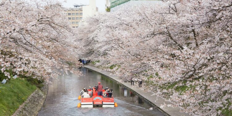 Cruceros regresan a Japón y otros destinos de Asia