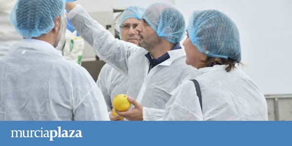 El Info contará en 2023 con 21,3 millones de euros para impulsar el crecimiento empresarial en la Región