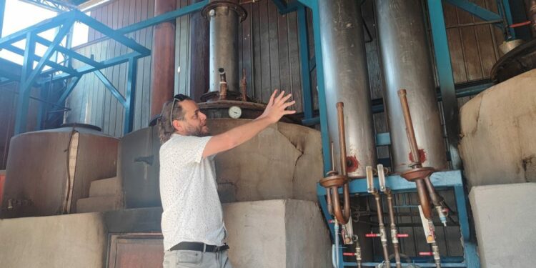 El pisco chileno busca convertir sus viñedos en patrimonio de la Unesco