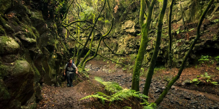 El turismo en La Palma un año después: David contra… las circunstancias