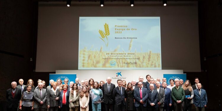 Empresas y voluntarios, reconocidos por los Bancos de Alimentos en los premios 'Espiga de Oro'