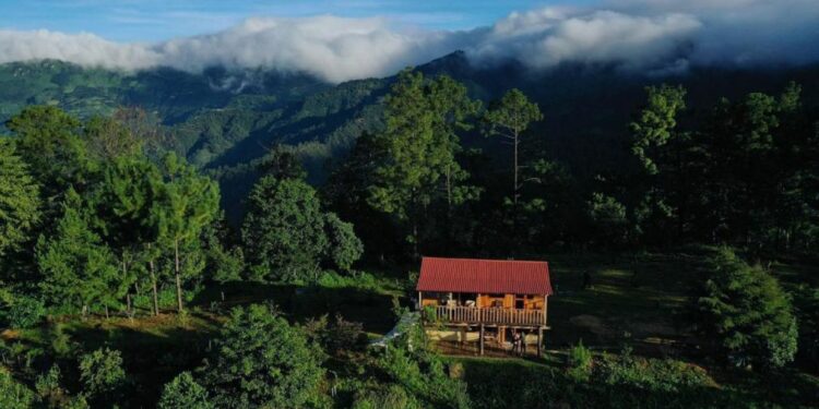 Estas cabañas con temazcal se esconden en el bosque y parece que flotan en la neblina