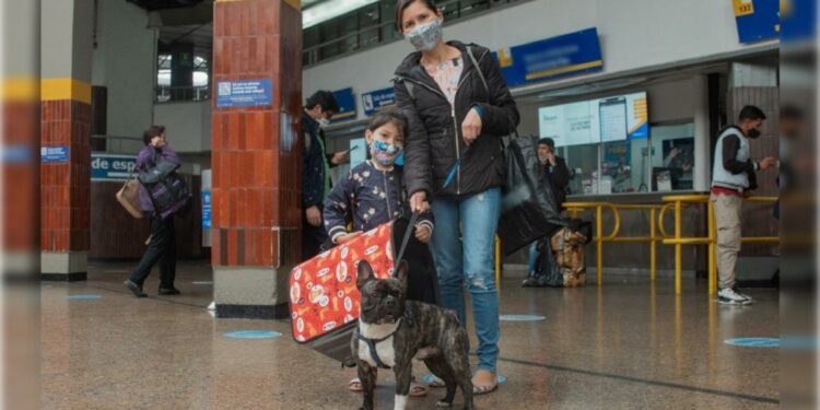 Si es un perro de manejo especial, siempre se debe llevar con bozal para evitar problemas, según la Ley 1801 de 2016.
Foto vía:  IDPYBA