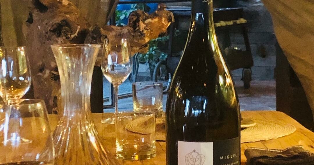 Baja California te invita a disfrutar de 5 excelentes vinos tintos para celebrar el fin de año 2022
