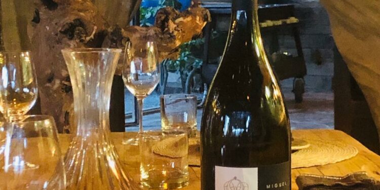 5 Exelentes vinos tintos de Baja California para cerrar este 2022
