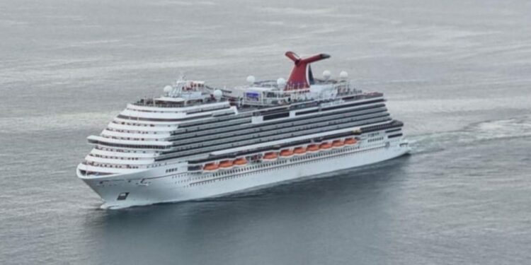 Cruceros