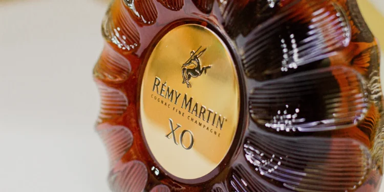 Remy Martin recibe las fiestas decembrinas con un POP UP en andares