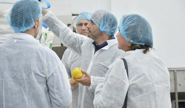 La Comunidad incrementa el apoyo a la I+D y la internacionalización como pilares del crecimiento empresarial