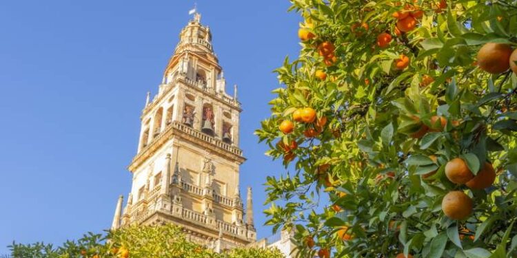 La ciudad del sur de España que 'The Telegraph' elige como la mejor para visitar en invierno