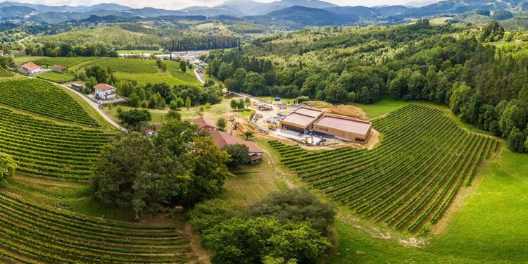La innovadora bodega sostenible sumergida en Urdaibai