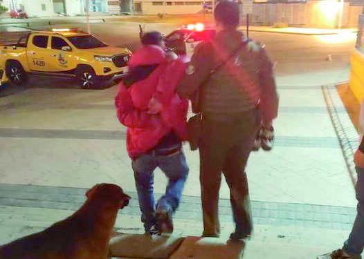 Lanza fue detenido tras robarle a turista de crucero