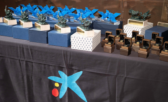 Los Bancos de Alimentos celebran su Gala anual de entrega de premios de la 'Espiga de Oro' (Acción Social) :: Compromiso RSE