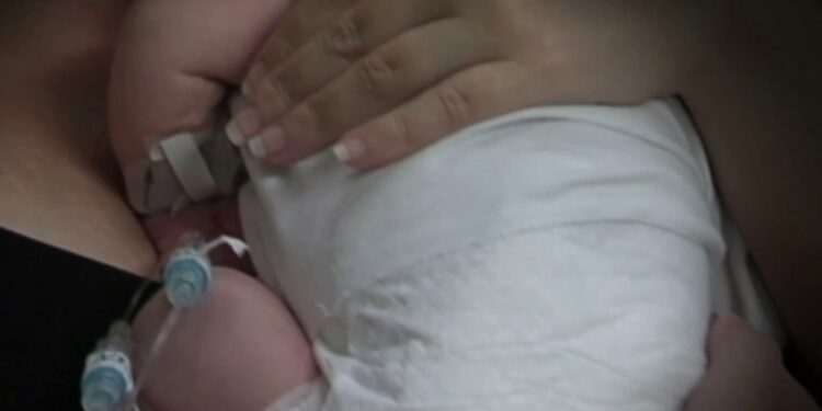 Nace un bebé prematuro en crucero de Royal Caribbean en Miami – Telemundo Miami (51)