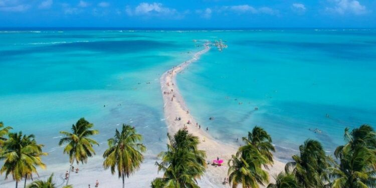 Qué piden a los turistas para ingresar a Chile, Brasil y Uruguay este verano