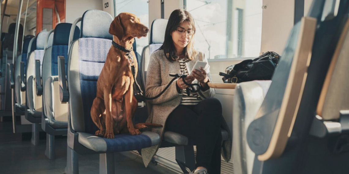 Renfe incluye a una ciudad andaluza en la prueba piloto para viajar con perros grandes