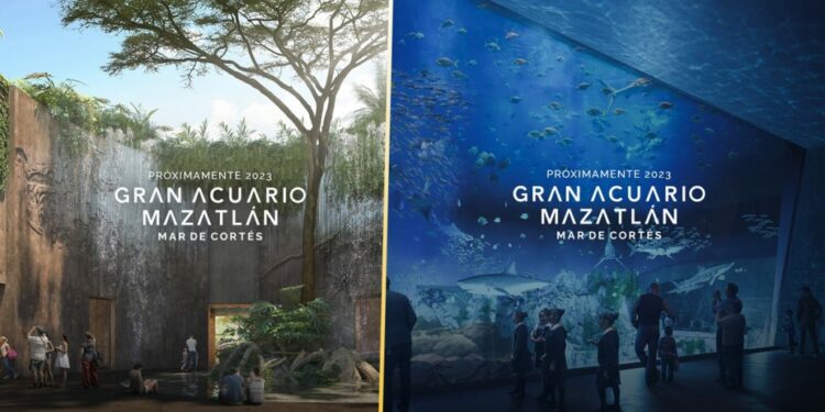 Revelan la imagen del Gran Acuario Mazatlán. Conócela  