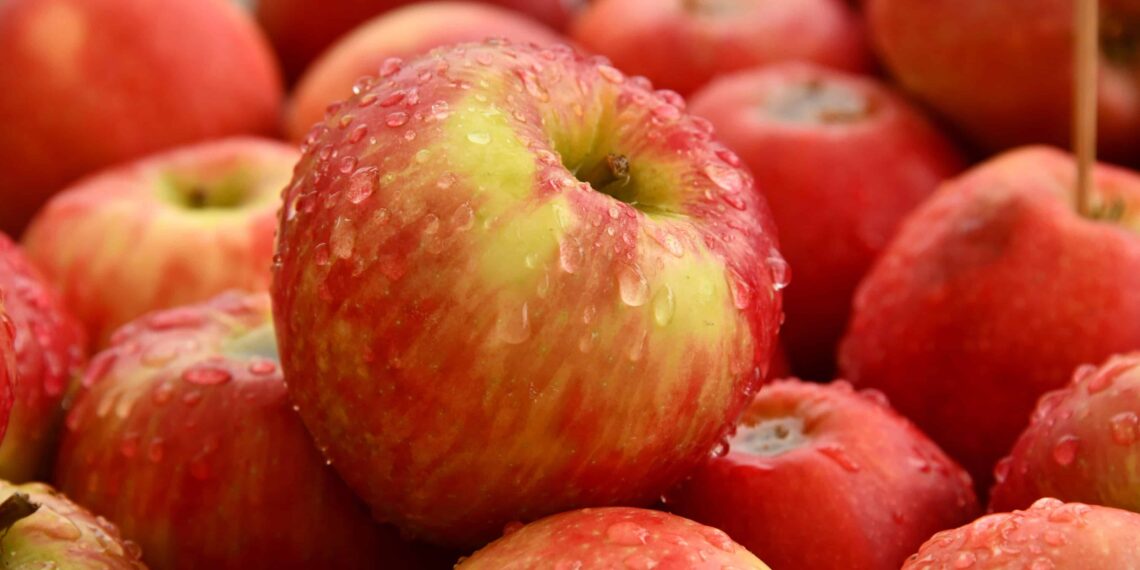 Si empiezas a comer manzanas regularmente, notarás estos 5 cambios en tu cuerpo