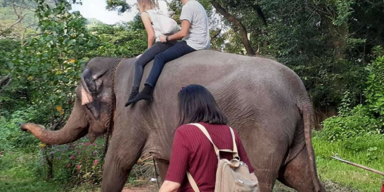 Sri Lanka Viajes Edén demuestra la hospitalidad en Sri Lanka en tiempos de crisis