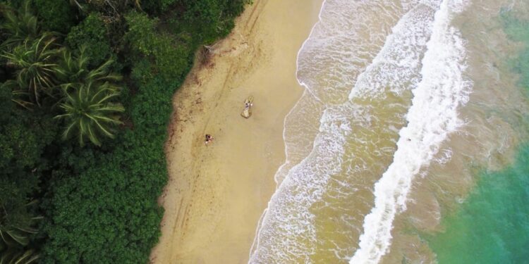 Vista aérea de una playa de Costa Rica con selva