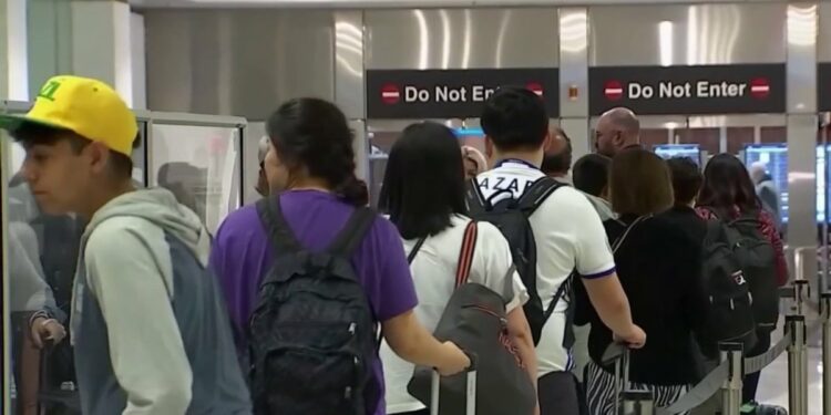 Tormenta de nieve ameenza viajes de navidad – Telemundo Miami (51)