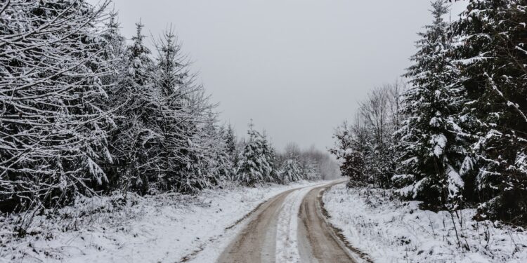 Tormentas en EEUU pueden causar estragos en Navidad